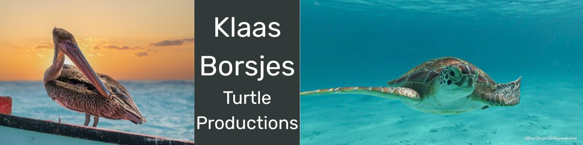 Klaas Borsjes Klaas Borsjes Turtle Productions