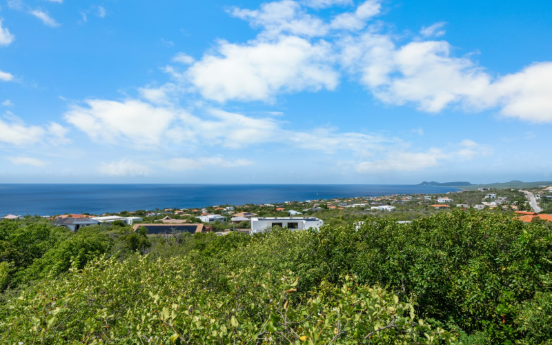 64 Crown Terrace, 2 Slaapkamers Slaapkamers, ,2 BadkamersBadkamers,Huis,Te koop,Crown Terrace,0,1957