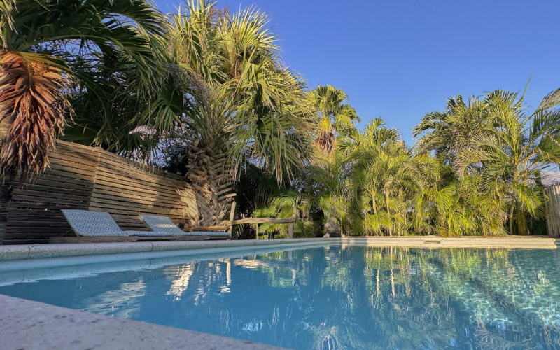 81 EEG Boulevard, 6 Kamers Kamers,6 BadkamersBadkamers,Commercieel,Te koop,Villa Carina Apartments,EEG Boulevard ,0,1959