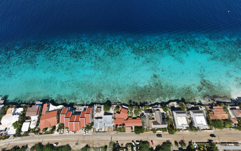 81 EEG Boulevard, 6 Kamers Kamers,6 BadkamersBadkamers,Commercieel,Te koop,Villa Carina Apartments,EEG Boulevard ,0,1959