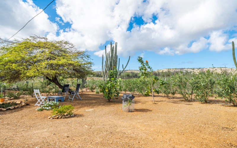 13 Kaminda Gurubu, 3 Slaapkamers Slaapkamers, ,2 BadkamersBadkamers,Huis,Te koop,Kaminda Gurubu,0,1970
