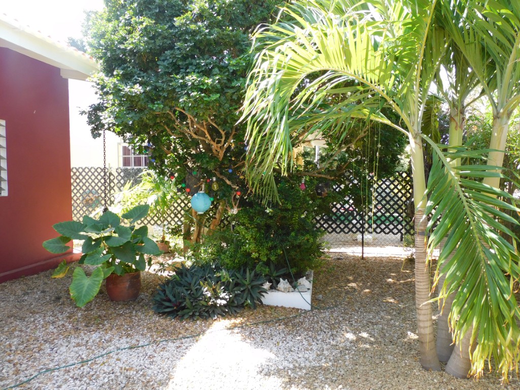 Plenchi Makamba 32 in Kralendijk, interior and surroundings
