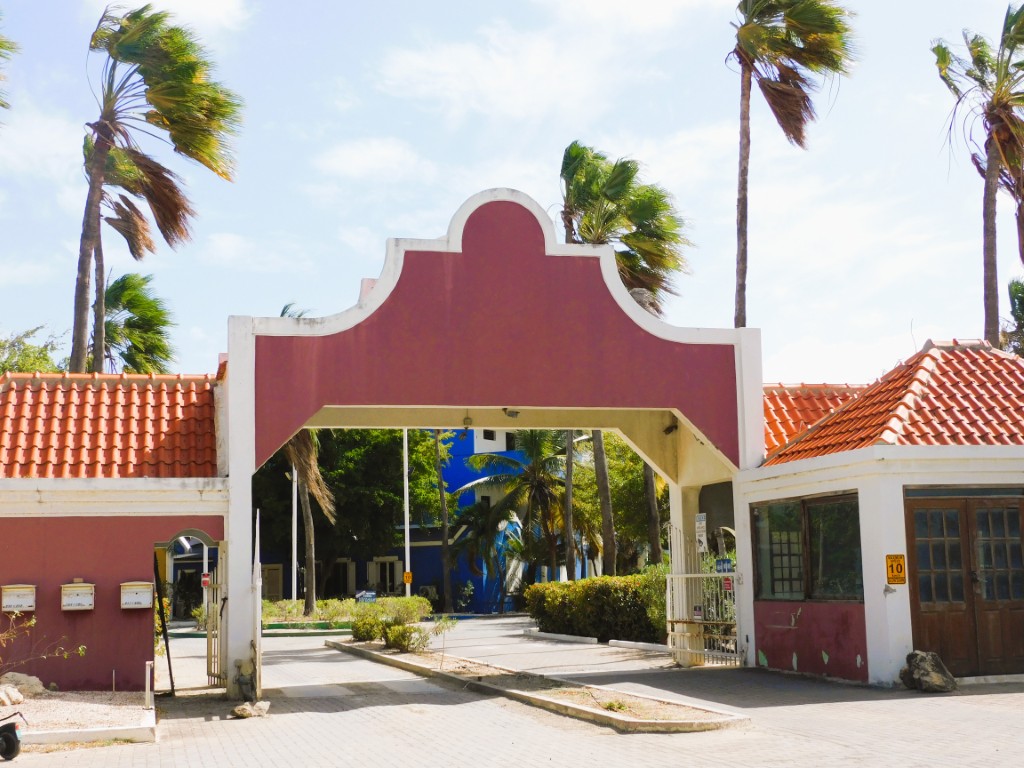 Caribbean Court E-4 - Gemeubileerd 1-slaapkamer Appartement Playa