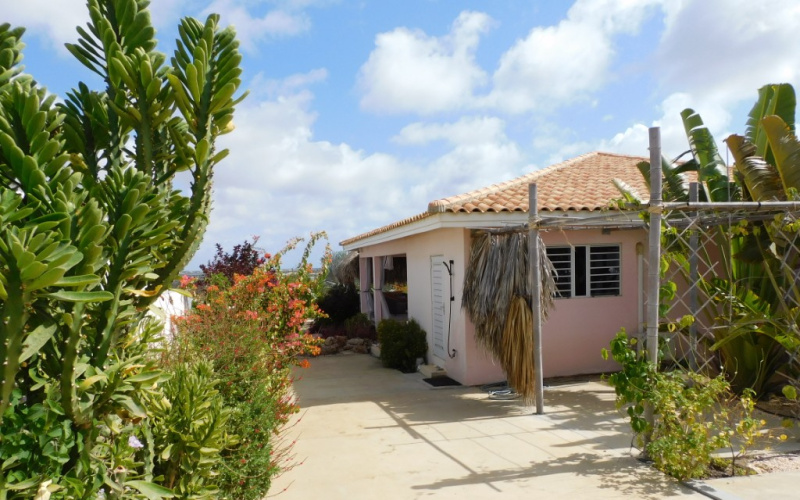 Te huur
Midterm
Santa Barbara 
Bonaire