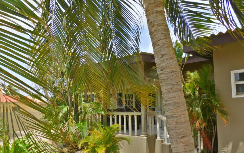 2 slaapkamers
2 bedrooms
2badkamers
2 bathrooms
for rent
te huur